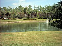 Lake View.     
CLICK on picture to enlarge. Later CLOSE (x) large picture.