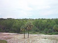 Blick vom Lanai auf 12. Fairway. 
KLICK aufs Bild vergrößert es. Danach KLICK
oben rechts auf (x) schließt das große Bild wieder.