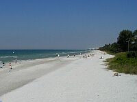 Picture shot from Naples Pier.
Naples got endless beaches. They will never be crowded.
CLICK on picture to enlarge. Later CLOSE (x) large picture.