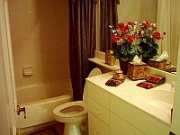 Guest Bathroom.
CLICK on picture to enlarge. Later CLOSE (x) large picture.