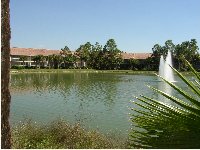 10: Lake view from living room.
CLICK on picture to enlarge. Later CLOSE (x) large picture.